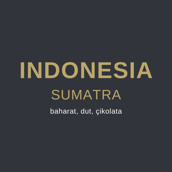 INDONESIA SUMATRA