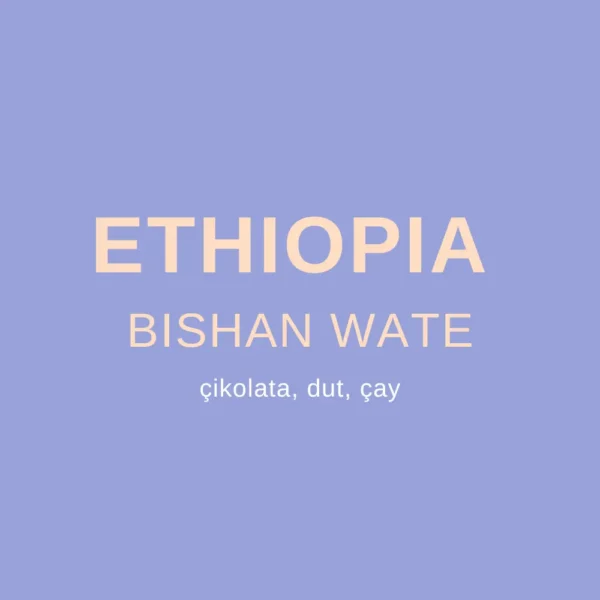 ETHIOPIA BISHAN WATE