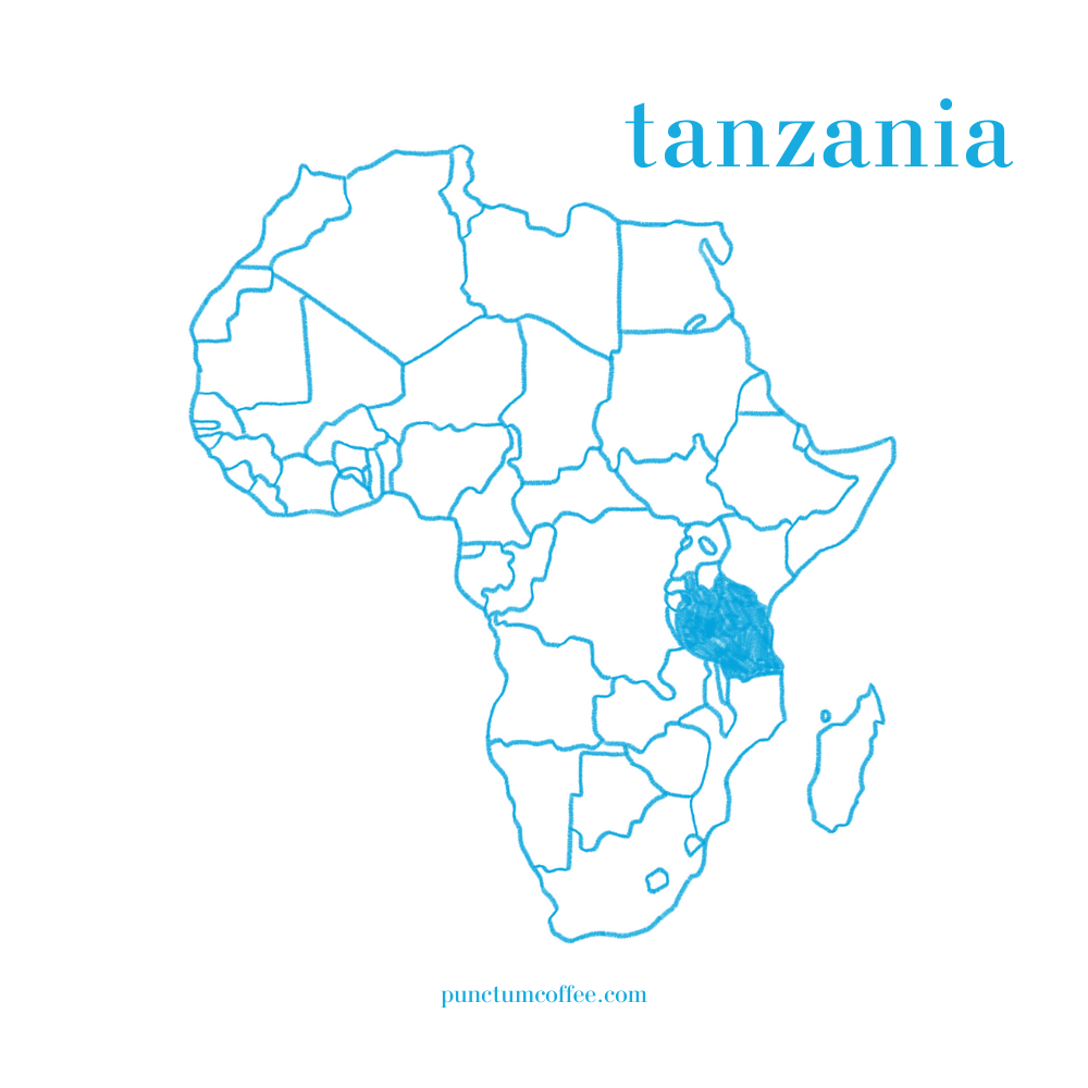 tanzania kahve, tanzanya arabica kahve, tanzanya kahvesi, afrika kahvesi